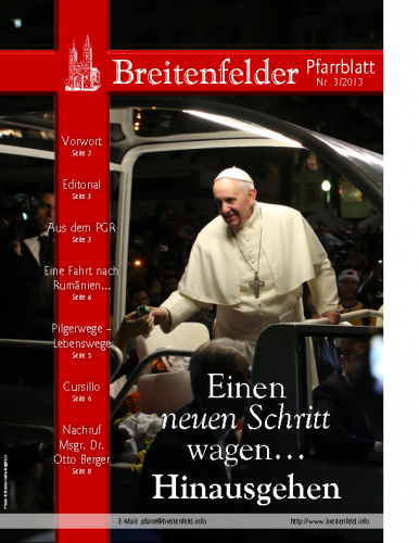 Pfarrblatt-2013-3